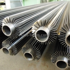 DELLOK TP304L Tubes à nageoires longitudinales